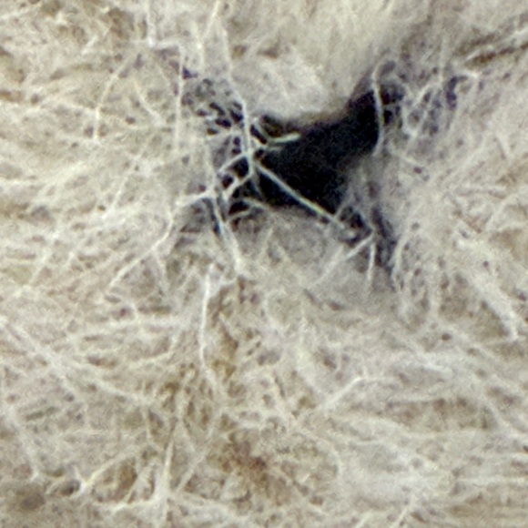 1984 VTG Gund X Belly Button Plush Bunny & Peter Rabbit Soap~Crabtree & Evelyn - Picture 5 of 13